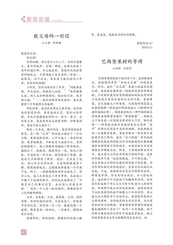 页码 (47) 页码 (47)